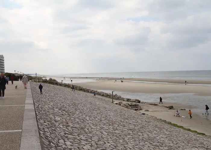 Escale En Duo Les Pieds Dans L\'Eau Studio Plage D\'Opale Vue Mer